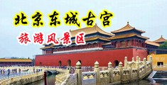 爆浆内射视频中国北京-东城古宫旅游风景区